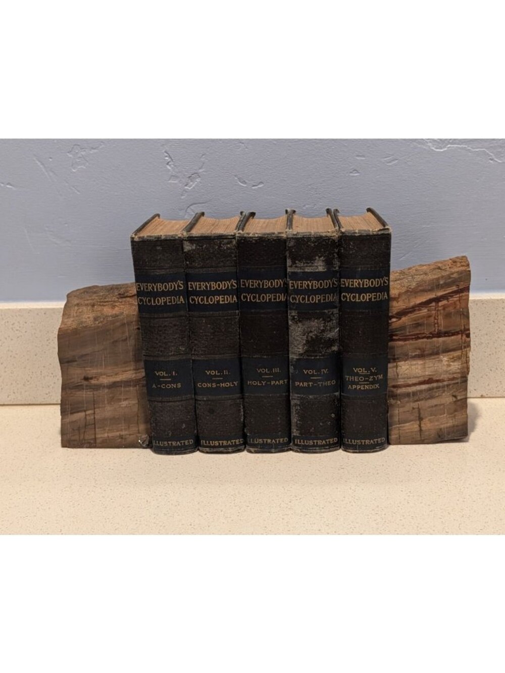 Petrified Wood Bookends Fossilized Tree Rings Natural Mineral Patterns 6" Rustic - Picture 2 of 16